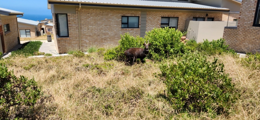 Commercial Property for Sale in Blue Ridge Western Cape